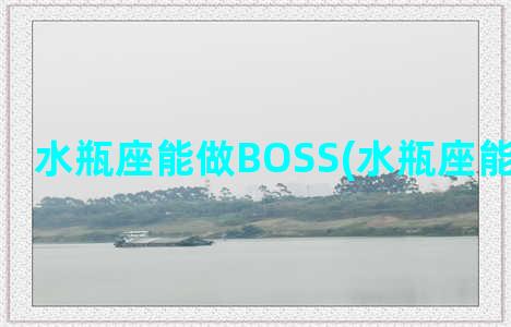 水瓶座能做BOSS(水瓶座能做大事吗)