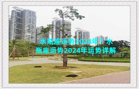 水瓶座运势2024年？水瓶座运势2024年运势详解