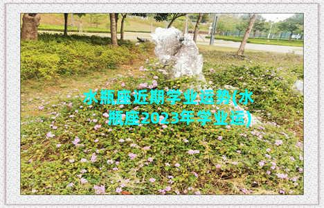 水瓶座近期学业运势(水瓶座2023年学业运)