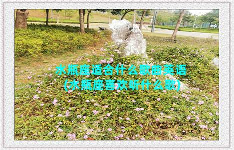 水瓶座适合什么歌曲英语(水瓶座喜欢听什么歌)