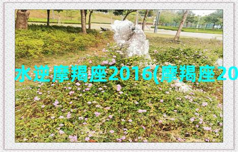 水逆摩羯座2016(摩羯座2022水逆时间)