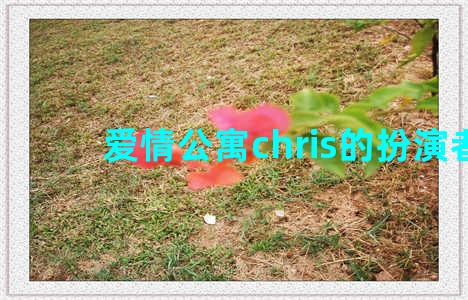 爱情公寓chris的扮演者