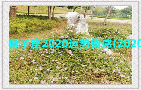 狮子座2020运势情感(2020狮子座女运)