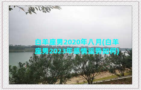 白羊座男2020年八月(白羊座男2023年感情运势如何)