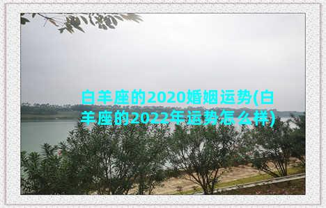 白羊座的2020婚姻运势(白羊座的2022年运势怎么样)