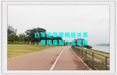 白羊座跟摩羯座关系，摩羯座配什么星座