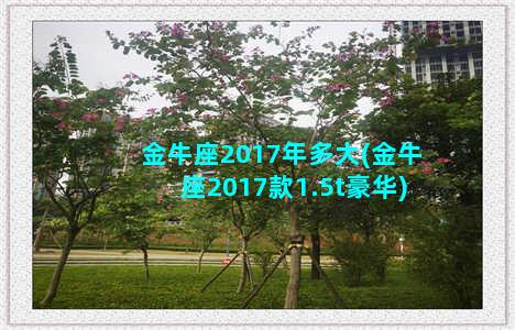 金牛座2017年多大(金牛座2017款1.5t豪华)