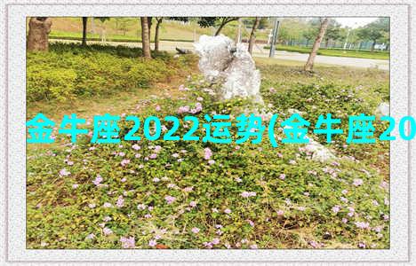 金牛座2022运势(金牛座2022年事业运)