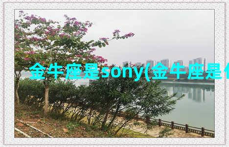 金牛座是sony(金牛座是什么命)