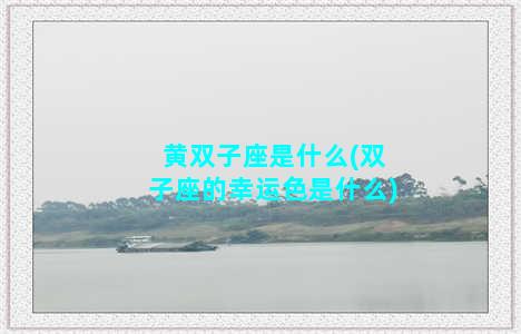 黄双子座是什么(双子座的幸运色是什么)