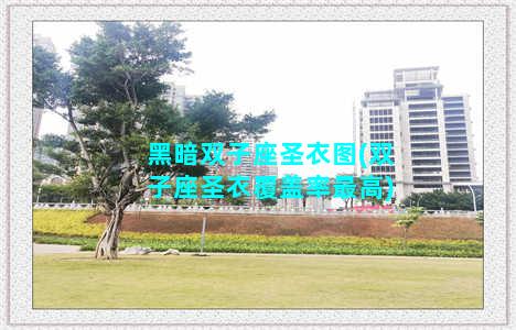 黑暗双子座圣衣图(双子座圣衣覆盖率最高)